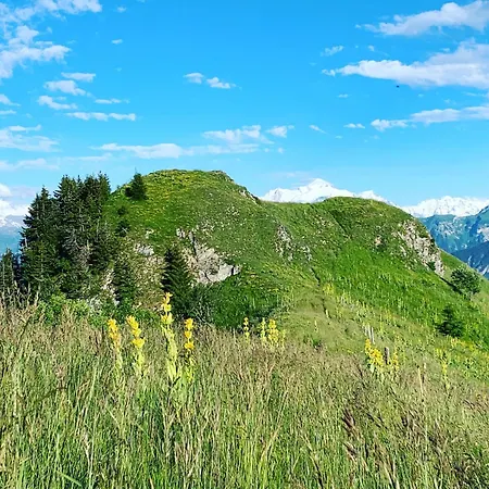 La Ferme Du 4* Тйе